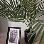 Lägenhet Piazza C - 2 Bedrooms & 2 Bathrooms Turin